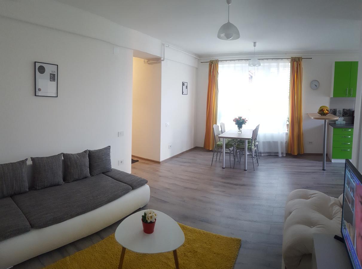 בראשוב Apartament Schiller 58 מראה חיצוני תמונה